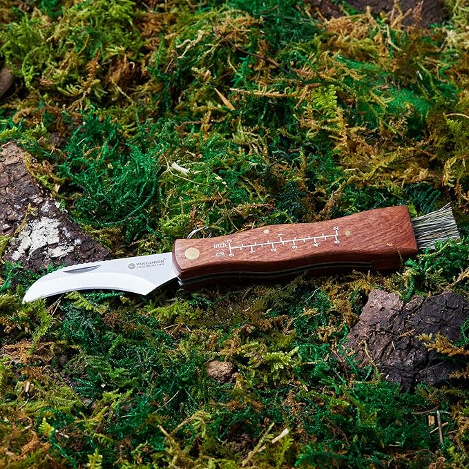 Professional Folding Mushroom Knife with Brush + Removable Leather Strap Wood Handle Foraging Knife for Fungus Truffles Handy Pocket Knife (Large)