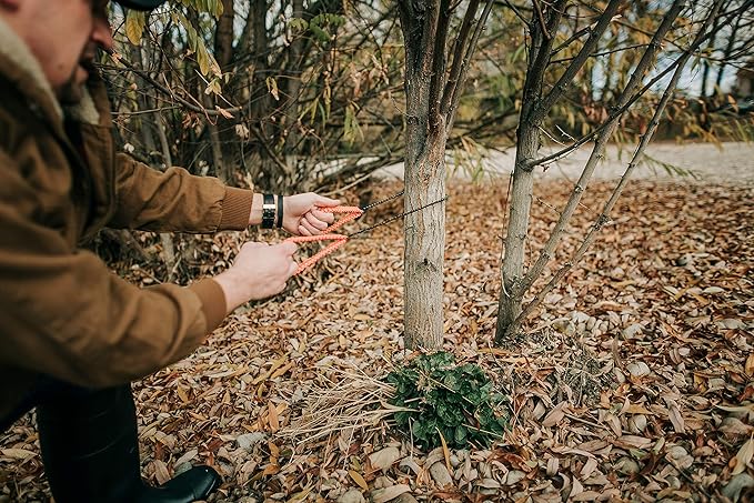 Stansport STS316 Chain Saw, Orange, One Size