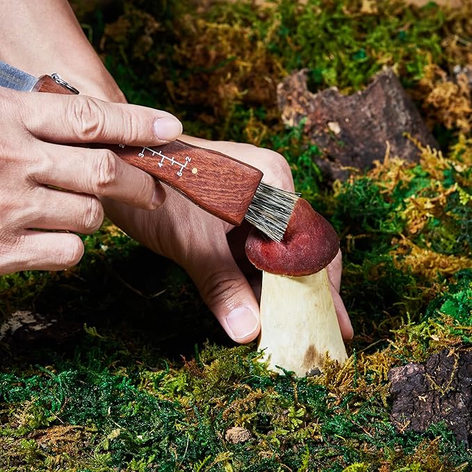 Professional Folding Mushroom Knife with Brush + Removable Leather Strap Wood Handle Foraging Knife for Fungus Truffles Handy Pocket Knife (Small)