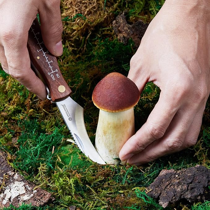 Professional Folding Mushroom Knife with Brush + Removable Leather Strap Wood Handle Foraging Knife for Fungus Truffles Handy Pocket Knife (Large)
